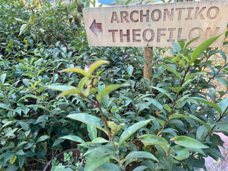 Archontiko Theofilou #2 With Private Parking Space Lejlighed Thessaloníki Eksteriør billede
